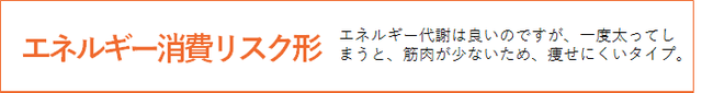 商材_DNA_004_図3_エネルギー消費リスク形.png